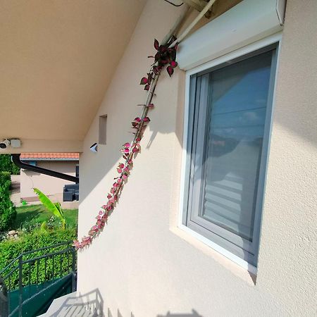 A1 - Airport Belgrade Apartment 외부 사진